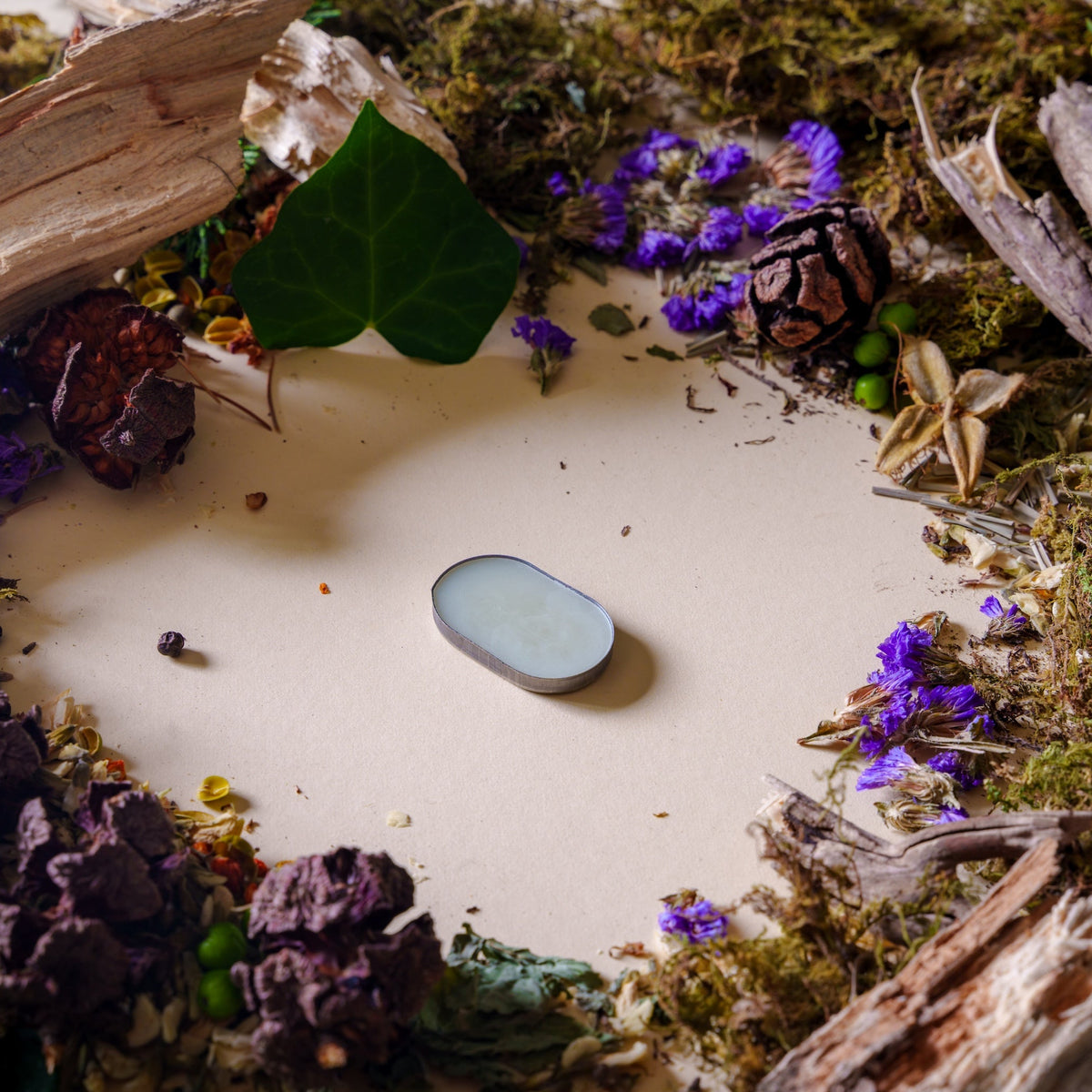 Solid Fragrance Refills Pod (1 fragrance refill pod)